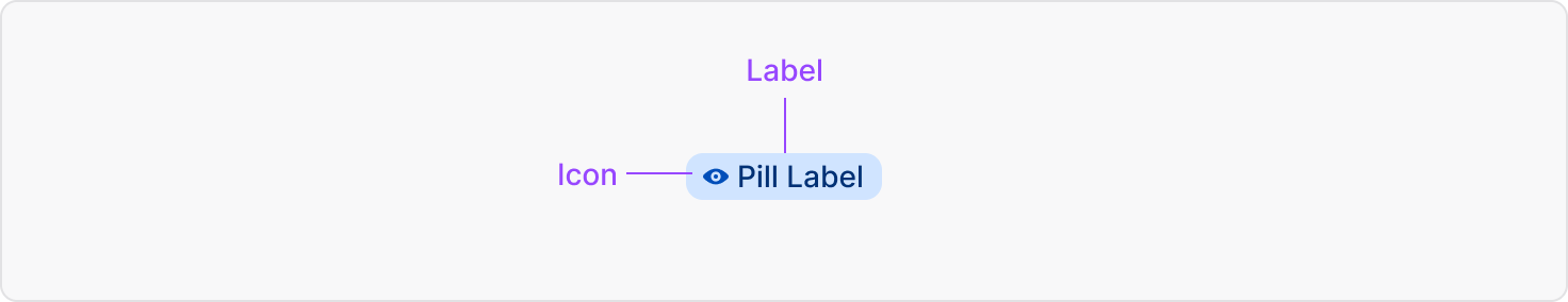 Pill anatomy overview
